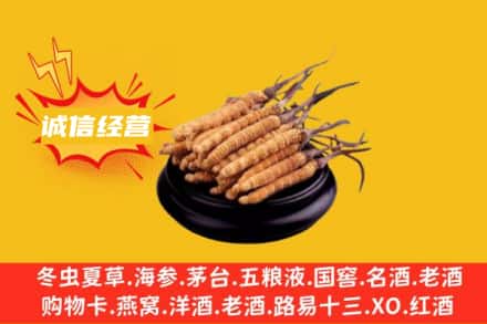 绥芬河市回收冬虫夏草